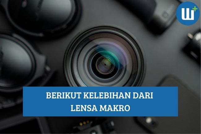 Ini Dia 7 Kelebihan dari Lensa Makro, Apa Saja?